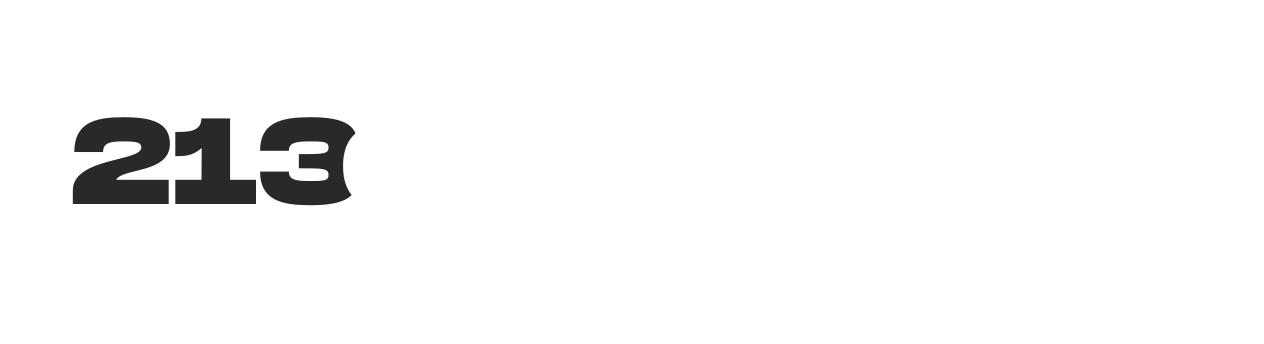 213 Car Export